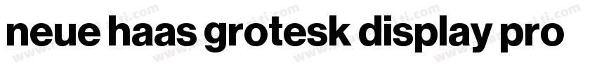 neue haas grotesk display pro 45 Li字体转换
